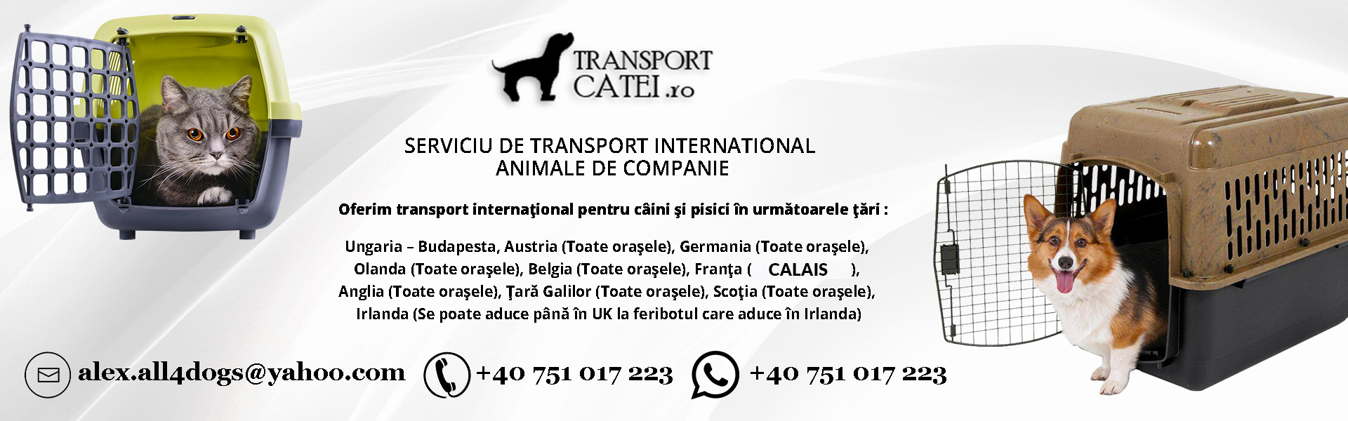 Transport animale de companie international